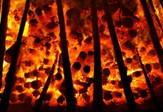 През тази година са изгорели над 700 000 хектара гориЕвропейският