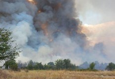 Частично бедствено положение въвежда община Панагюрище заради големия пожар който