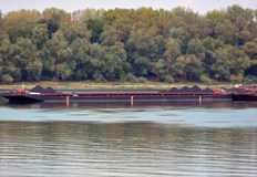 Причина за това са извършените драгажни дейности край островите Белене