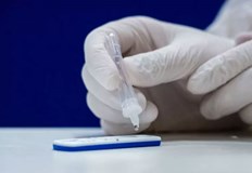 10 души са изгубили битката за живот през последното денонощие1951