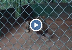 Трагедията се е разиграла след като мъжът е влязъл в