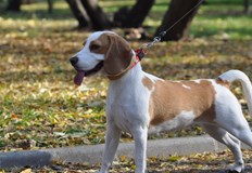 51 годишен мъж от Поморие е нанесъл прободни рани с нож