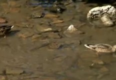 Бедственото положение в Своге все още не е отменено въпреки