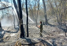 Нов пожар се разгоря в последните часовеПламъците са на границата