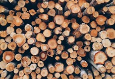 Размерът на помощта е с 20 повече в сравнение с