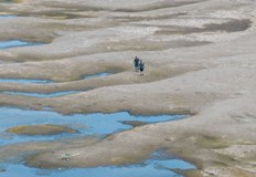 Корабоплавнето на практика е спряло и корабособствениците търпят загубиКритично ниско