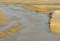 Нивото на река Дунав остава нискоСамо сантиметър го делеше през