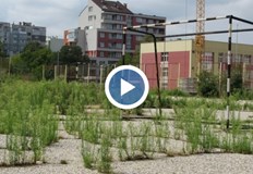 Това е дворът с игрищата по футбол и баскетбол на