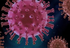 Положителни са близо 17 от взетите пробиНовите случаи на коронавирус