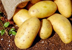 Това създава риск от покачване на цените на популярни храни като