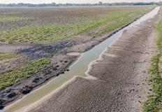 Щетите свързани със сушата ще струват на ЕС около 9