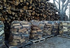 Продължава поскъпването на дървата за огрев в цялата страна В големите