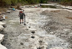 Динозавърски стъпки на около 113 милиона години са появиха на