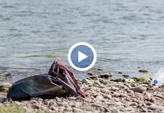 Мястото е предпочитано за риболов и почивка през лятотоЯзовир Огоста