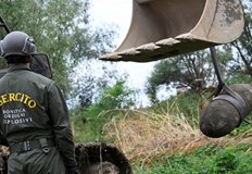 Горещините обхванали Европа това лято донесоха не само рекордно високи