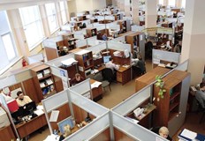 Каква е разликата между работник и служител Публикуваме коментар по темата