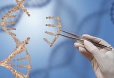 Генът който прави фаталния изход по малко вероятен се нарича GNB3