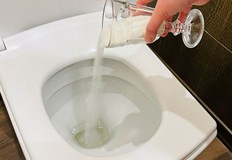 Неслучайно хитрите домакини изсипват чаша сол в тоалетната веднъж седмичноС