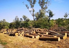 Оказа се че в района е имало силна буря и