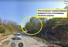 Избуяла растителност създава предпоставки за пътни инцидентиРусенец подаде сигнал за
