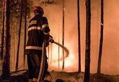 Голям пожар край Слънчев бряг в района под заведението Ханска
