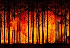 Над 1300 души бяха евакуирани заради поредния горски пожар в провинция