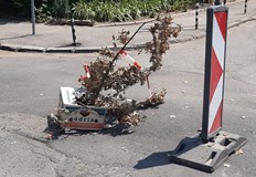 С кутия от банани и клони така се обезопасяват