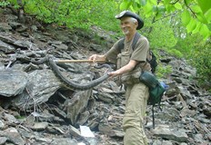 Уилям Мартин и преди е бил ухапван от змии но