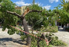 Торнадо предизвика паника в град Каламата Южна Гърция откъдето премина