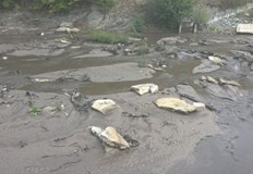 Вчера само в района на Вроцлав от водата бяха извадени