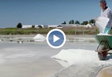 Горещото време създава благоприятни условия за скок на добиваФранция се