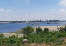 Безпрецедентна суша по поречието на река Дунав Изисква се майсторство за