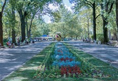 Предстои ремонт на парковите алеи и на площада около ВазатаСтартираха