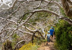 Сушата изпепеляваща голяма част от Европейския съюз се очаква да