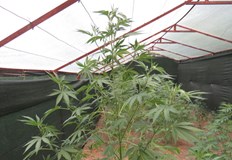 Задържан е 30 годишен русенецСпециализирана полицейска операция по противодействие на престъпленията