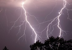 Детето ѝ както и нейното куче са пострадалиЖена от Флорида