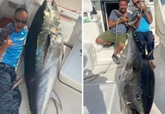 Рибари уловиха огромна риба тон в Хърватия – тя тежи