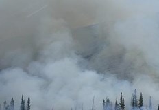 Пожар в цех за патици близо до Враца Той е част