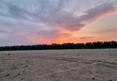 Основната причина за засушаването в Северното полукълбо е феноменът Ла