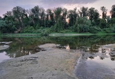 Опасна суша засяга цяла Европа включително и България застрашава посевите