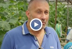 Най много са поскъпнали краставицитеХраните на едро поскъпнаха тази седмица информира