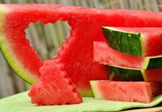 Смята се че динята произлиза от Южна Африка където видът