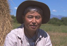 Такеши успява да пренесе българската роза в Япония а уасабито