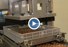 Секторът птицевъдство е изправен пред непосилни разходи заради високите цени