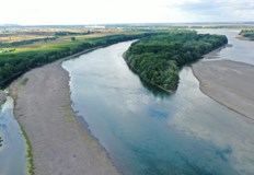 Само 2 сантиметра делят Дунав от абсолютния рекорд за ниско