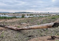 Критично ниско продължава да е нивото на река Дунав в