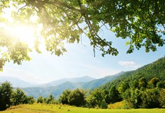 Преобладаващите максимални температури ще са между 26 deg и 31 deg През нощта