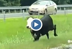 Зрелищна гонка в в АлабамаПолицията в Алабама се впусна в зрелищно