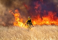 Запалила се е храстова растителност на дюнитеПожар гори на територията