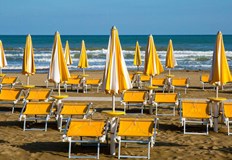 Жена от Южна Каролина почина след като беше смачкана до